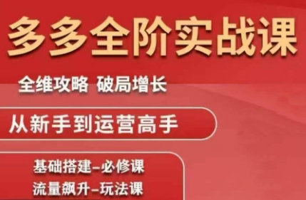 大炮·拼多多全阶实战课程(更新10月)-宇众网创